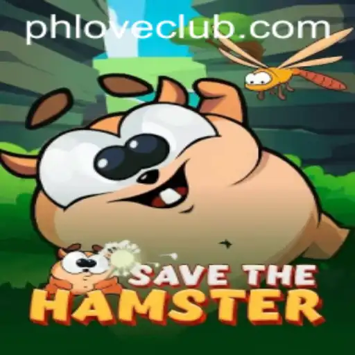 Discover the Adventure of 